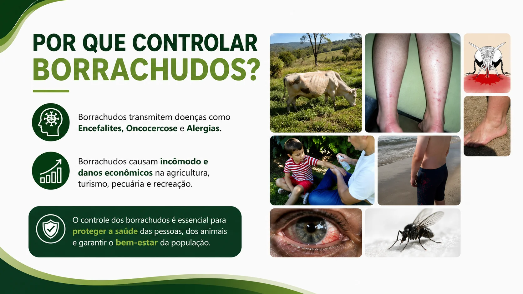 Por que controlar