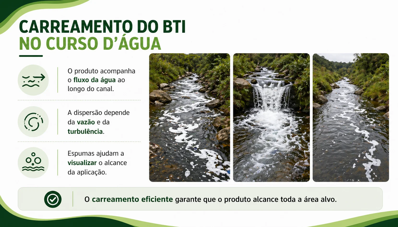Carreamento
