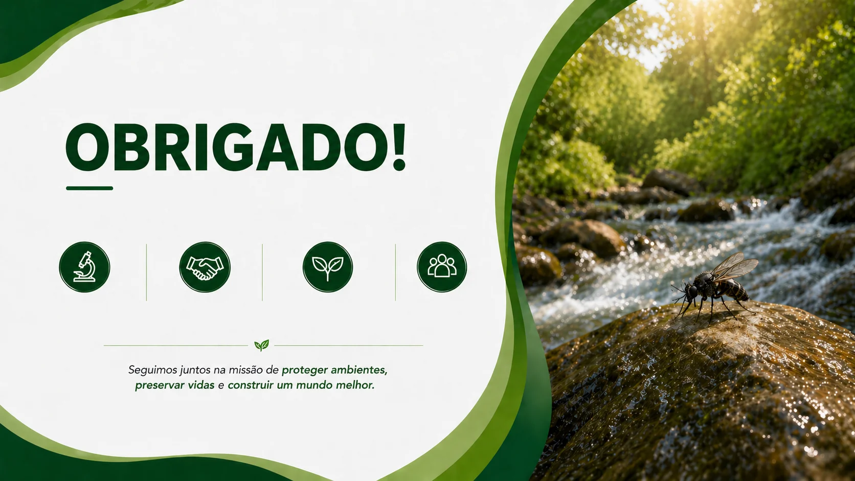 Obrigado